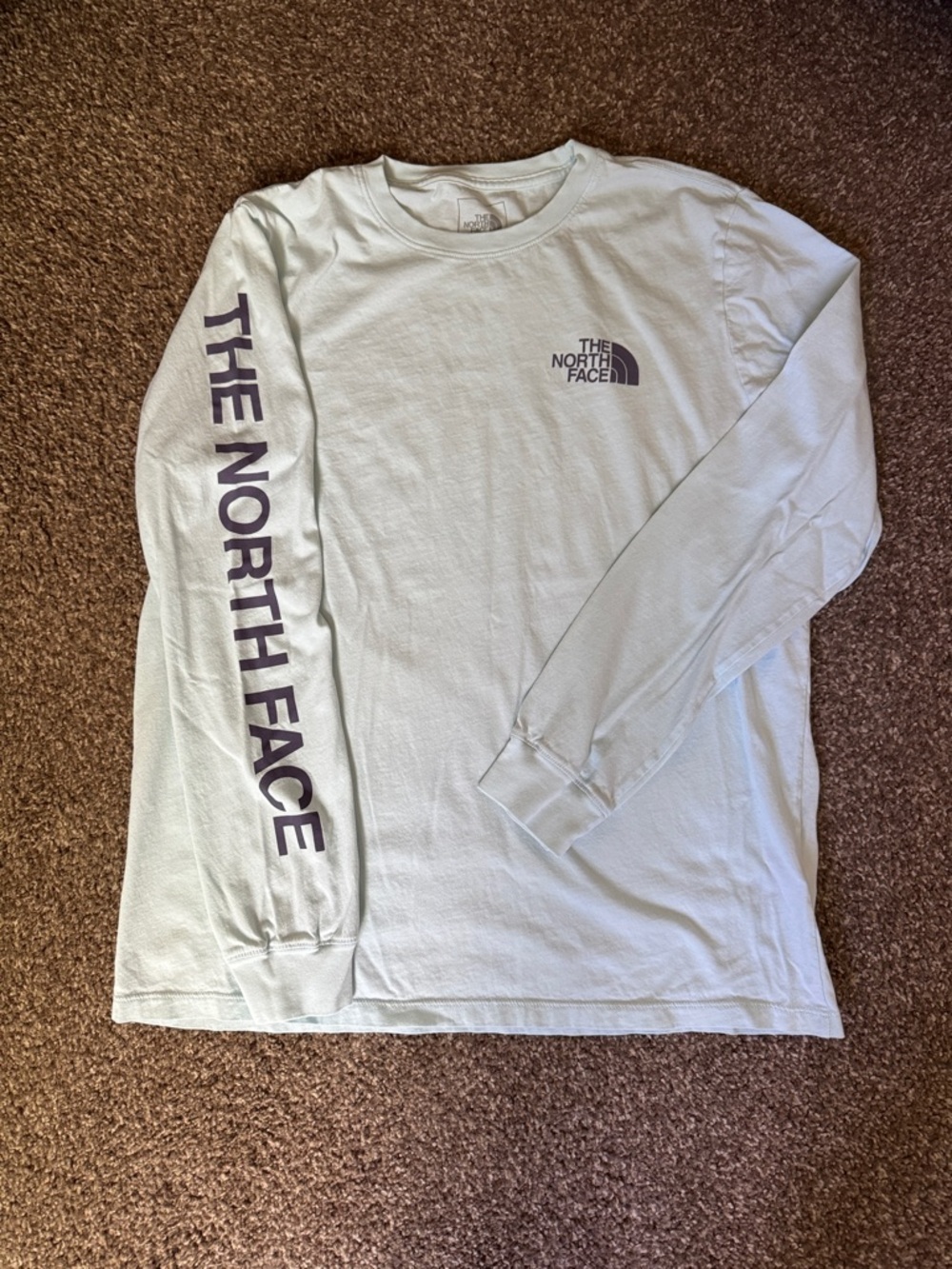 The North Face Women’s Long Sleeve Tee in Pale Green with Purple Logo